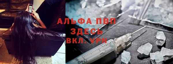 трава Гусев