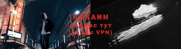 мдпв Гусь-Хрустальный