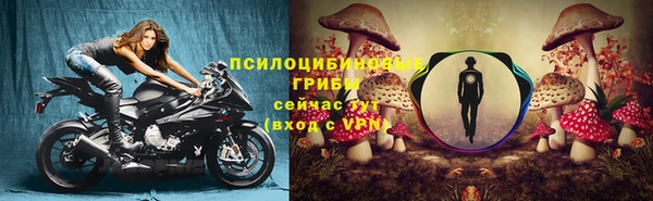 мдпв Гусь-Хрустальный