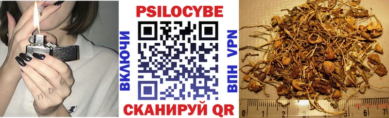 Купить закладки  Баксан  Галлюциногенные грибы Psilocybine cubensis 